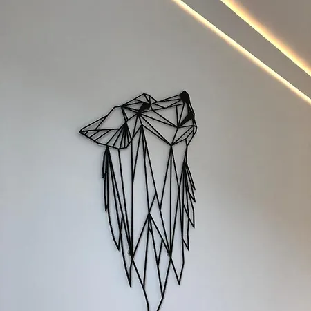 Apartament Wolf *