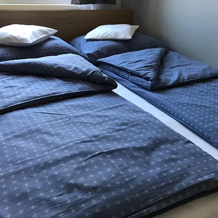 Wolf Apartment *